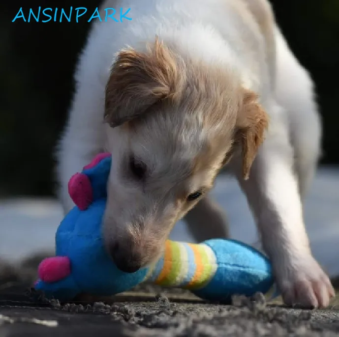 ANSINPARK игрушки для домашних животных милые плюшевые собак щенков белок свинья