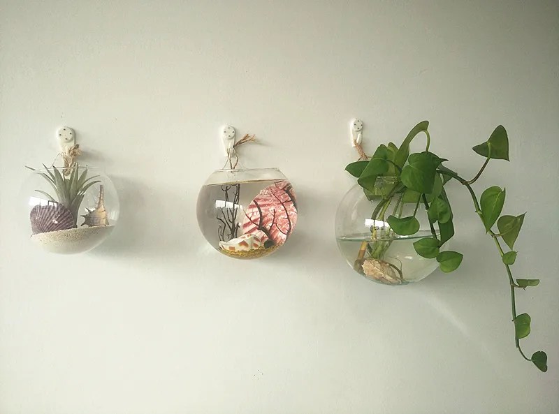 Aliexpress.com : Buy 3pcs/set Glass Globe Wall Terrariums,hanging Aliexpress.com : Buy 3pcs/set glass globe wall terrariums,hanging terrarium succulent planter for garden decor,wall decor,home decor from Reliable succulent ... - Aliexpress.com : Buy 3pcs/set Glass Globe Wall Terrariums,hanging