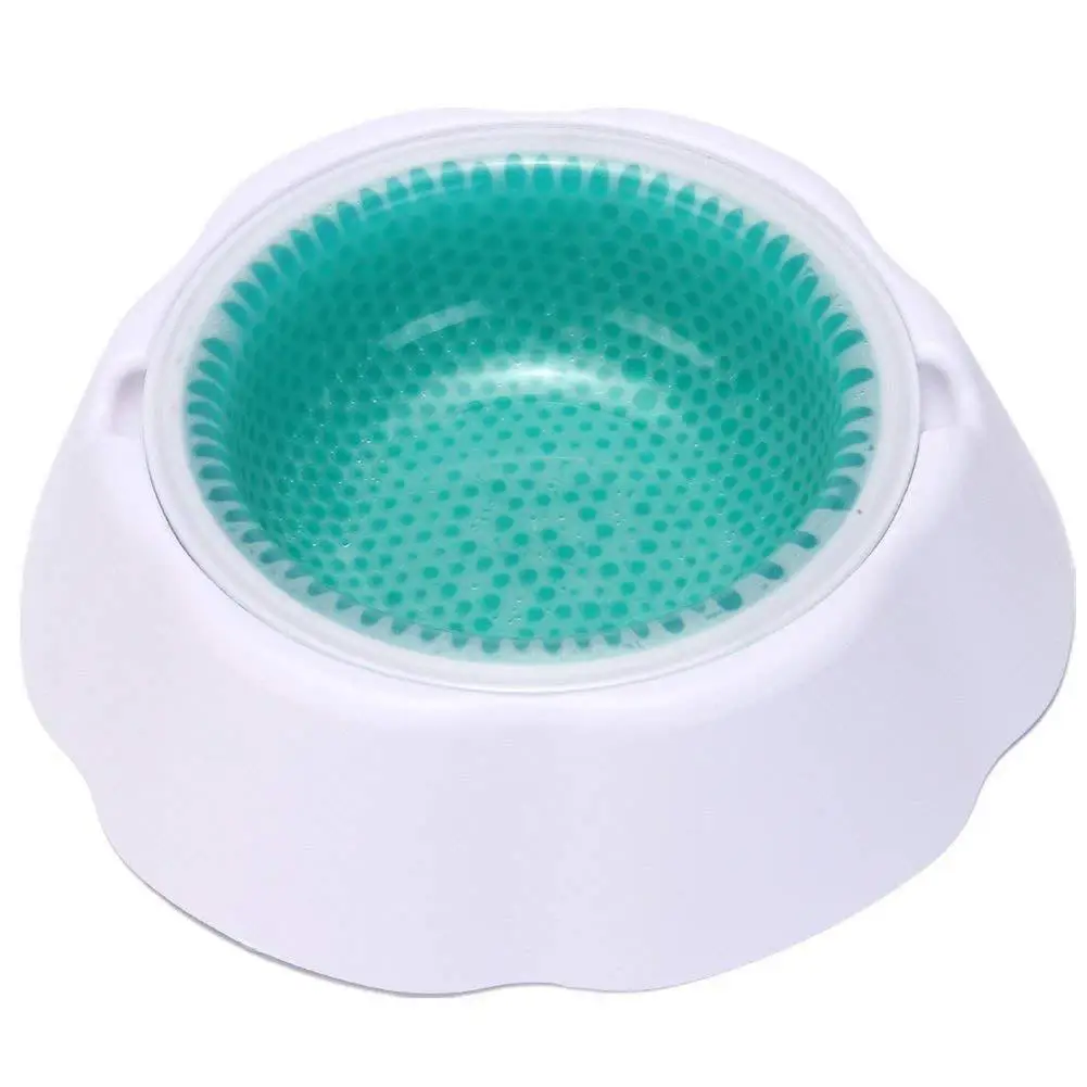 Pet Fast cooling Bowl Dog Cat Water Dish with Anti slip Basein Dog