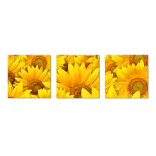 Grosir Sunflower Photo Buy Low Price Sunflower Photo Lots