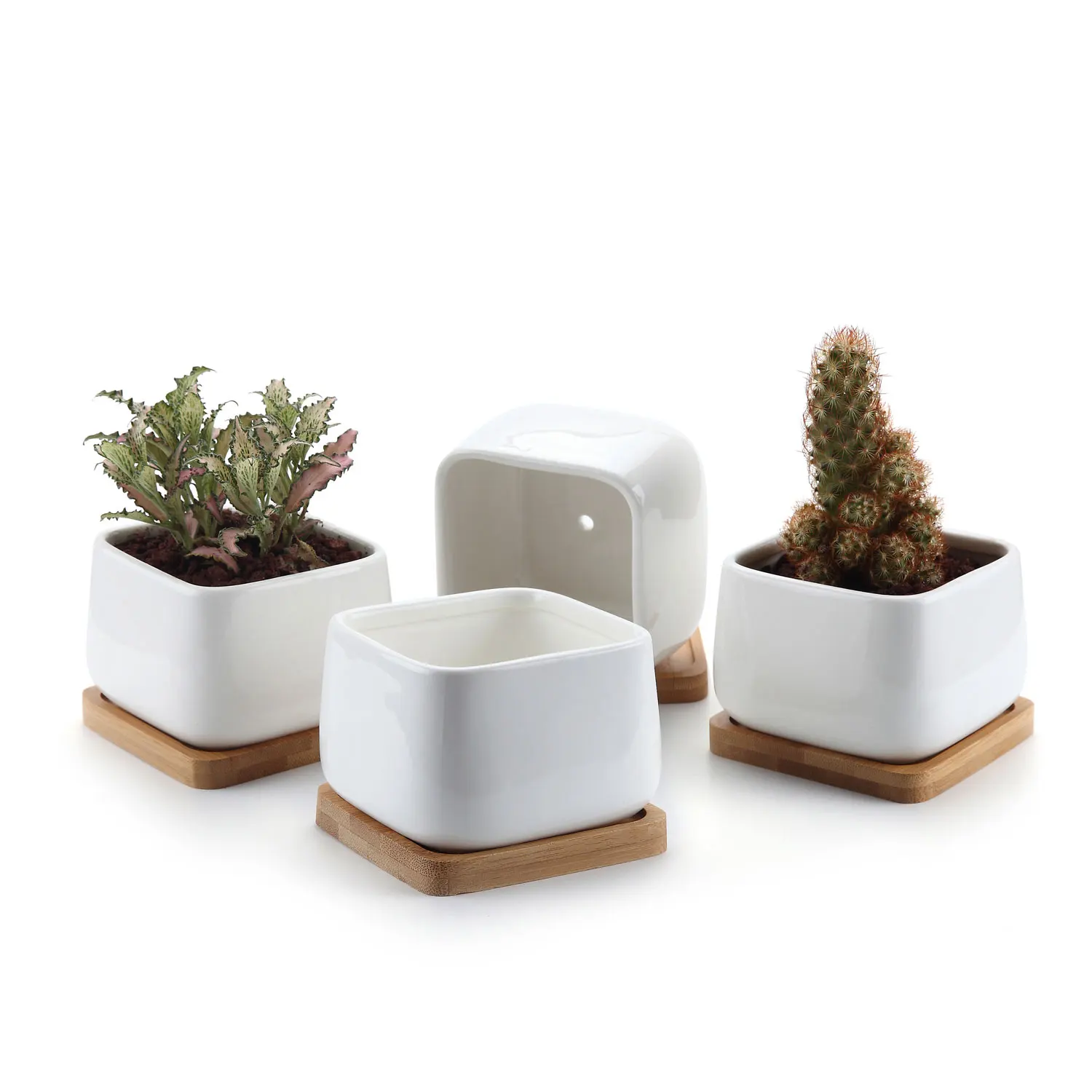 

T4U 3.75Inch Ceramic White Square NO.2 succulent Plant Pot/Cactus Plant Pot with FREE Bamboo Tray Package 1 Pack of 4