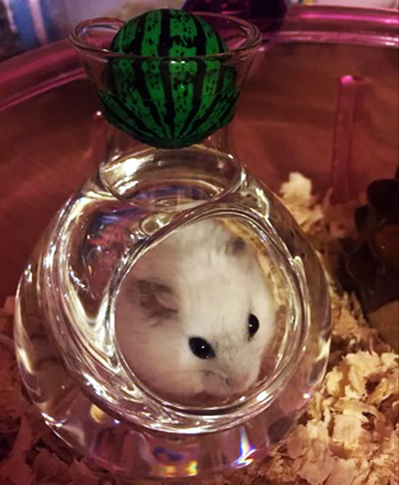 3763262114_467092726