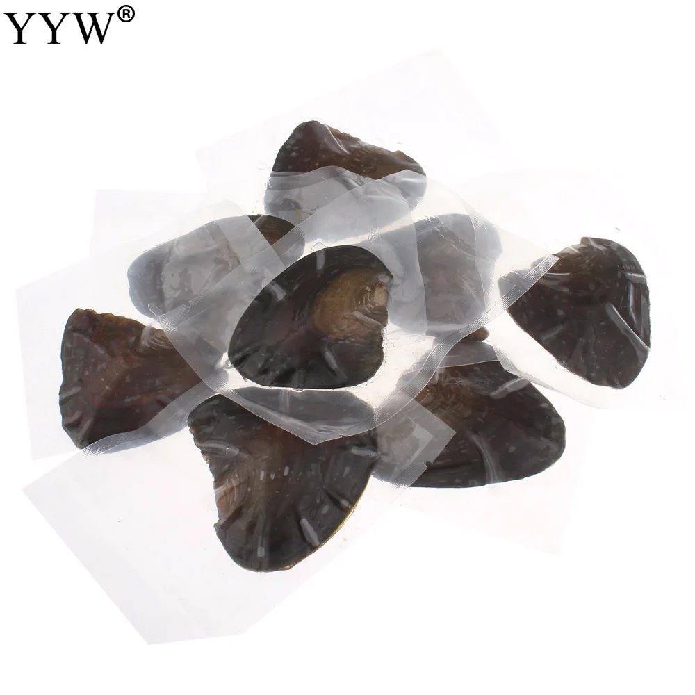 

Vacuum pack Oyster Wish Freshwater Pearl Pearl Mussel Shell with Pearl Inside Different Colors of Pearl Mysterious Gift Surprise