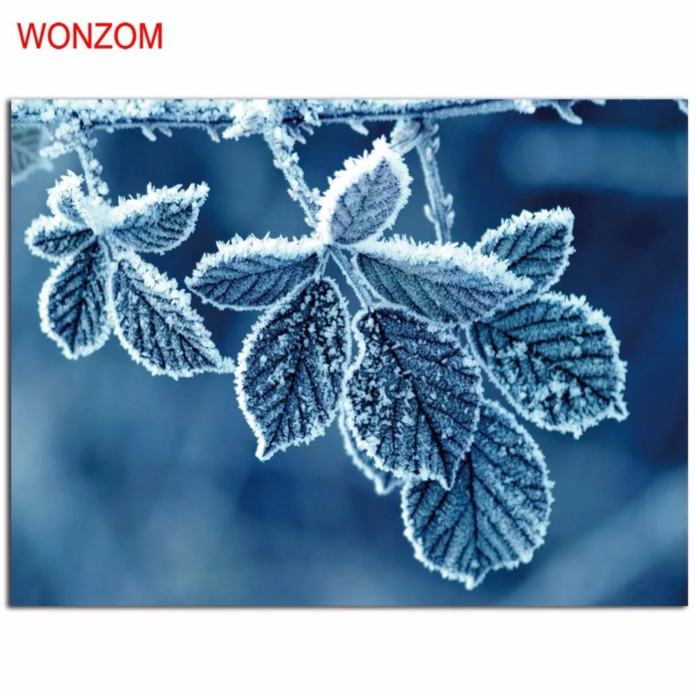 20170227173623_87721