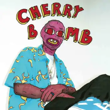 

Tyler the Creator Flower Boy Hip Hop10x10 12x12 24x24 27x27in Art Poster Wall Canvas Print Modern Decoration