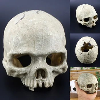 

Skull Aquarium Decoration Terrarium Reptile Fish Tank Ornament Simulation Landscape -Drop