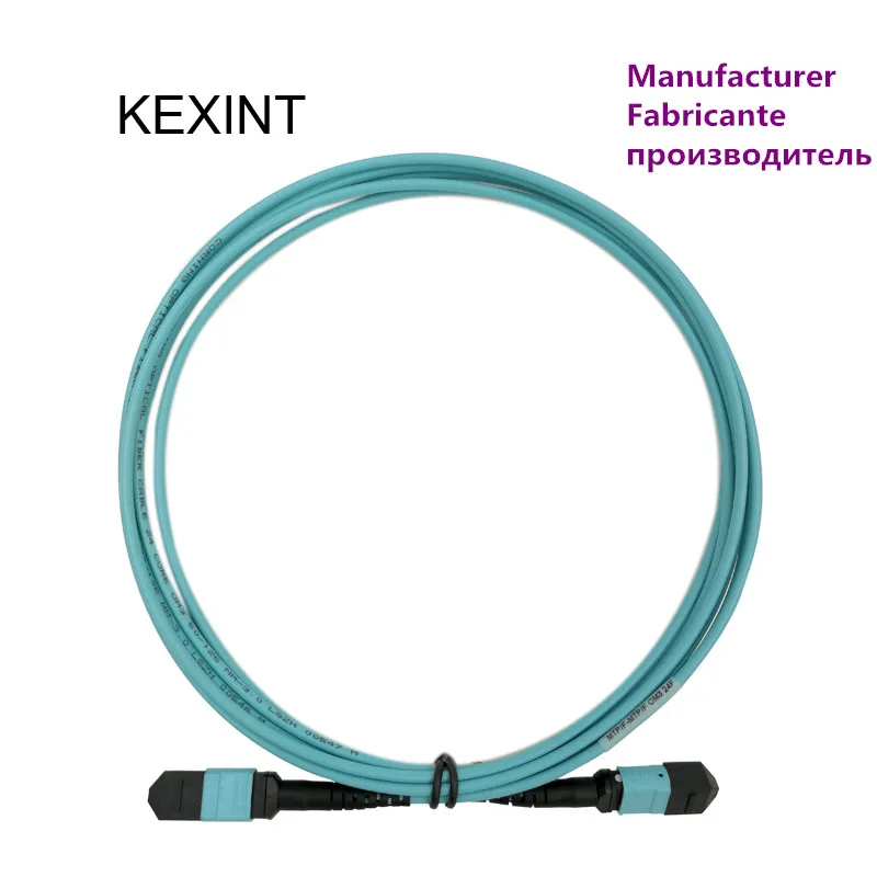 Patch Cord In Fibra Ottica Mtp-Mtp Famale Om3 12Core 40G All'Ingrosso