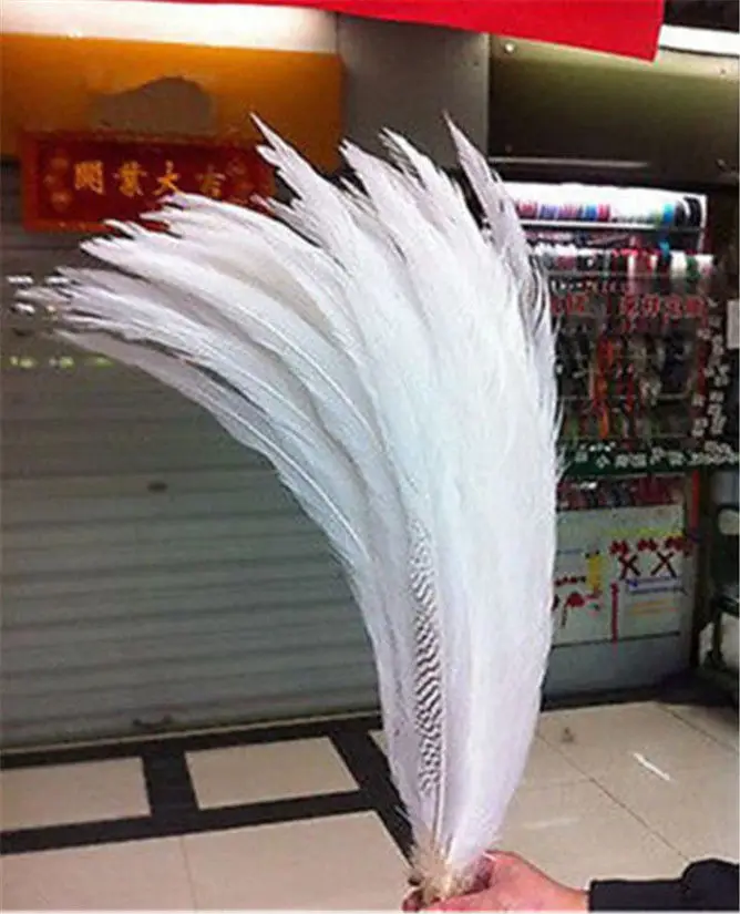 Buy wholesale 50 PCS natural silver pheasant chicken