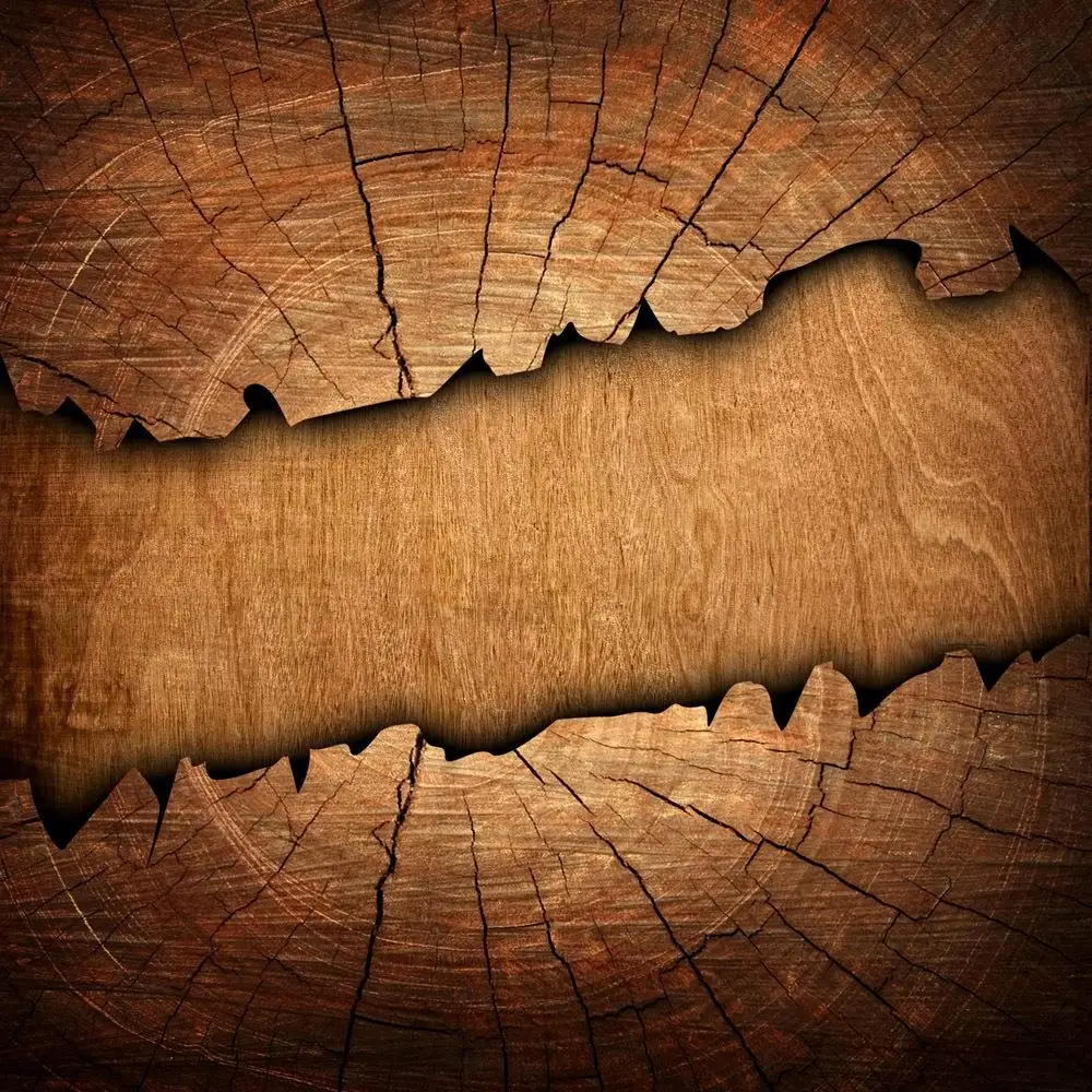 

10x10ft  Vinyl Custom Wood grain Photography Backdrops Prop Studio Background TMW-20227