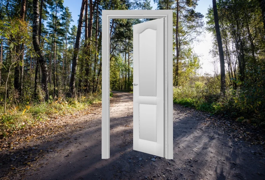 

Laeacco White Door Spring Tree Way Sunshine Portrait Scenic Photography Backdrops Photographic Background Photocall Photo Studio