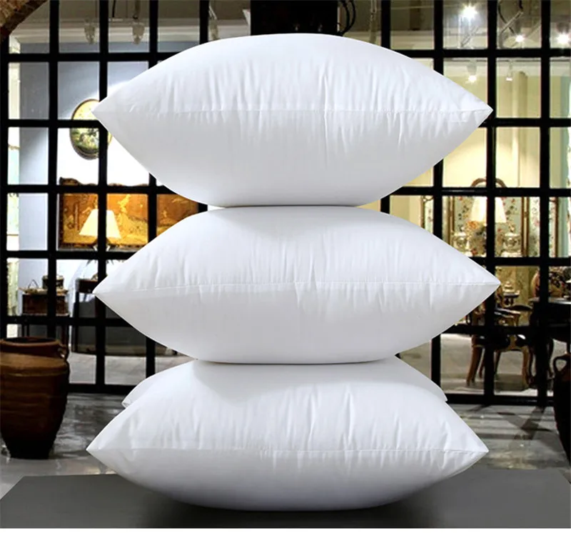 pillow core02