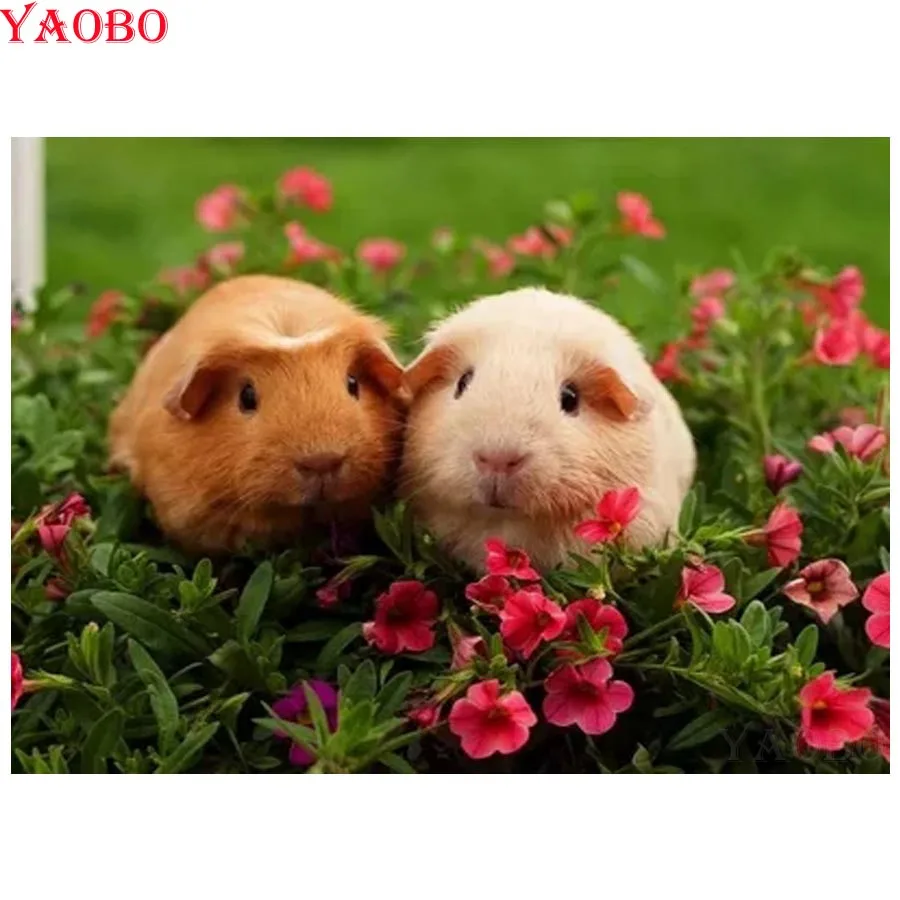 5D Diy Diamond Painting Kits Cute Guinea Pigs Diamond Painting