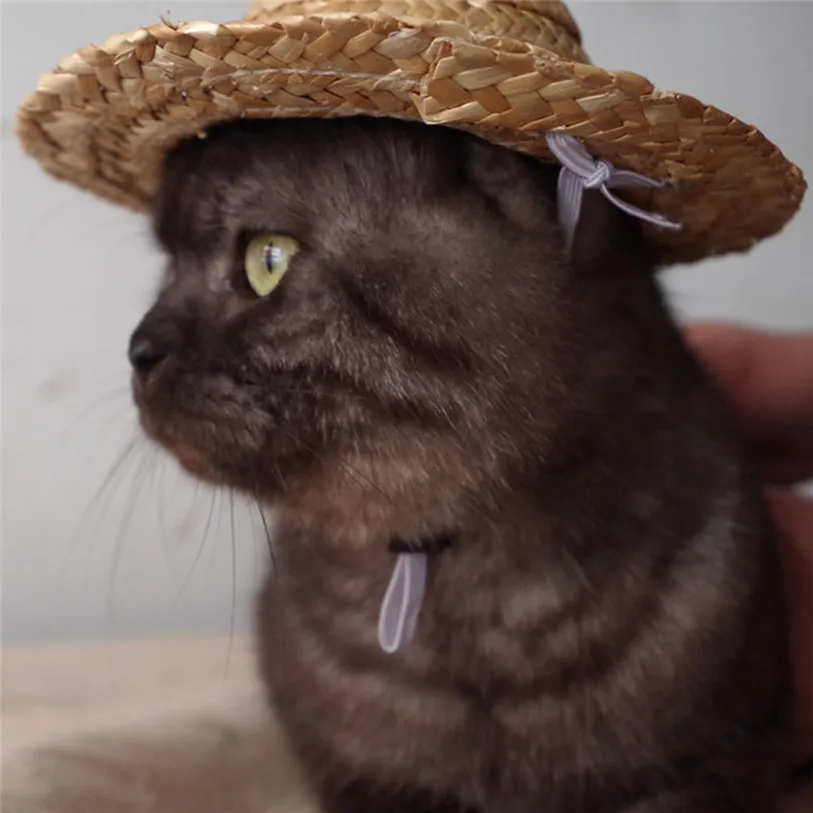 Outdoor Straw Sombrero Pets Cap Hat Dog Cat Headband Festival Cosplay Headdress Costumes Hair Band Hat Cat Dog Band 40JA11 (2)