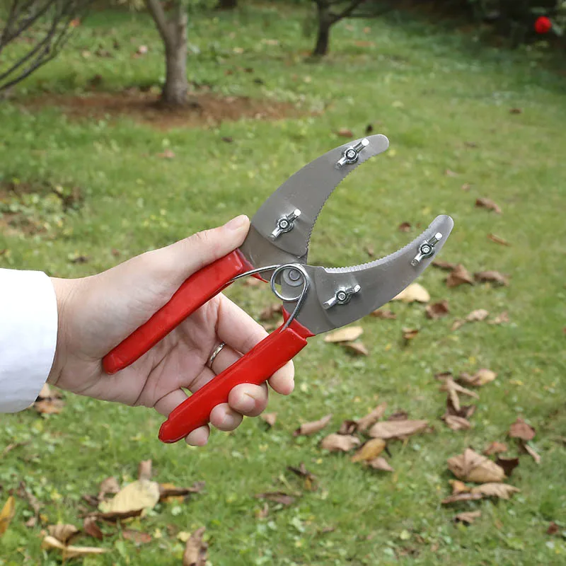 New Best Selling Fruit Tree Garden Professional Peeler Pruning Scissors With Peeling Ring Segmentation Tool Gardening Scissors New Best Selling Fruit Tree Garden Professional Peeler Pruning Scissors With Peeling Ring Segmentation Tool Gardening Scissors