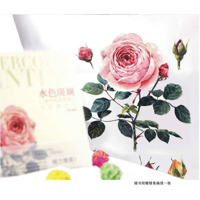 Китайская акварель цветок фрукты суккуленты десерт живопись художественная книга, китайские раскраски для взрослых