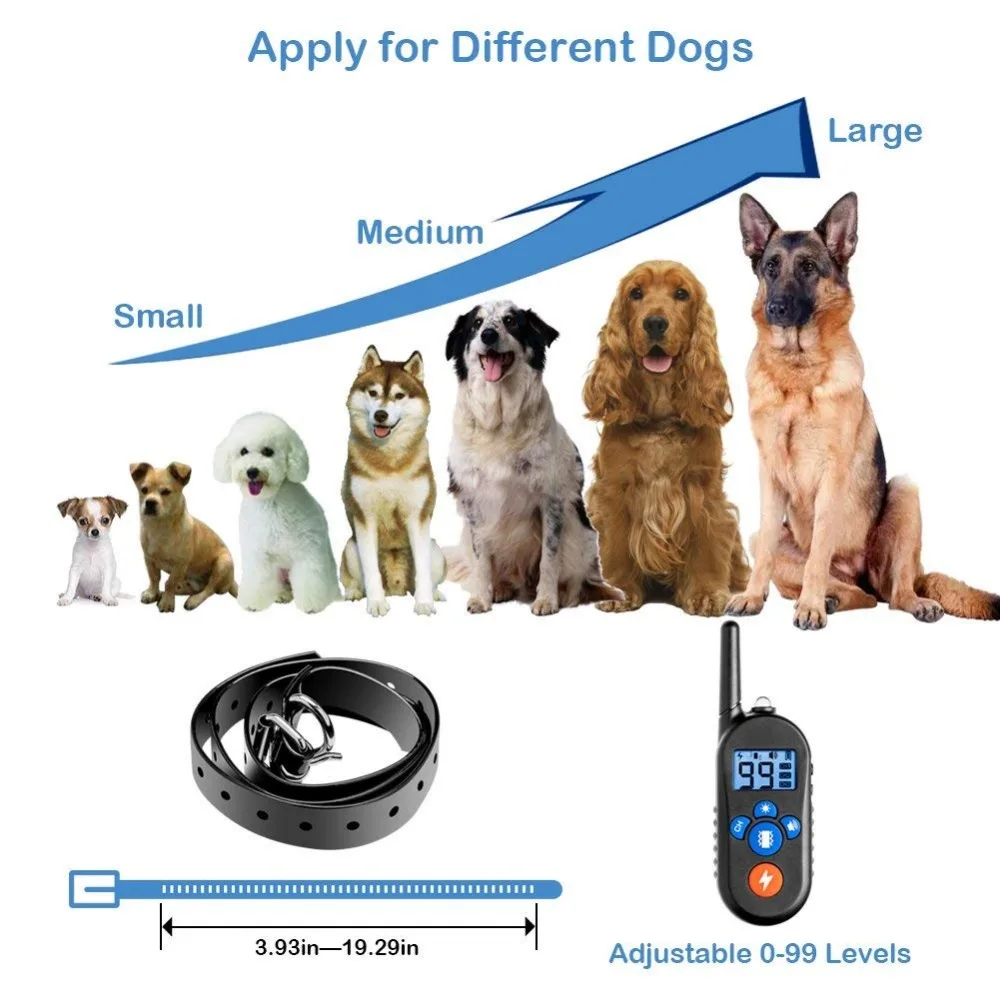 dog training collar (6)