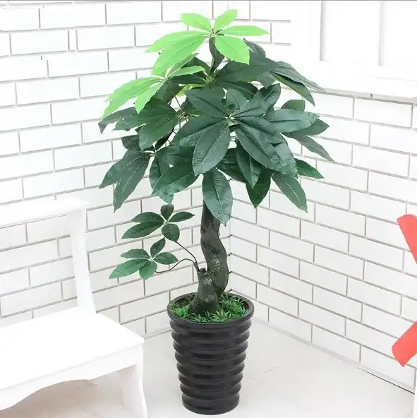 90cm Real Touch Artificial Plants Plastic Artificial Money Tree Tropical Fake Plants Home Garden Decor No Pot Artificial Plants Aliexpress
