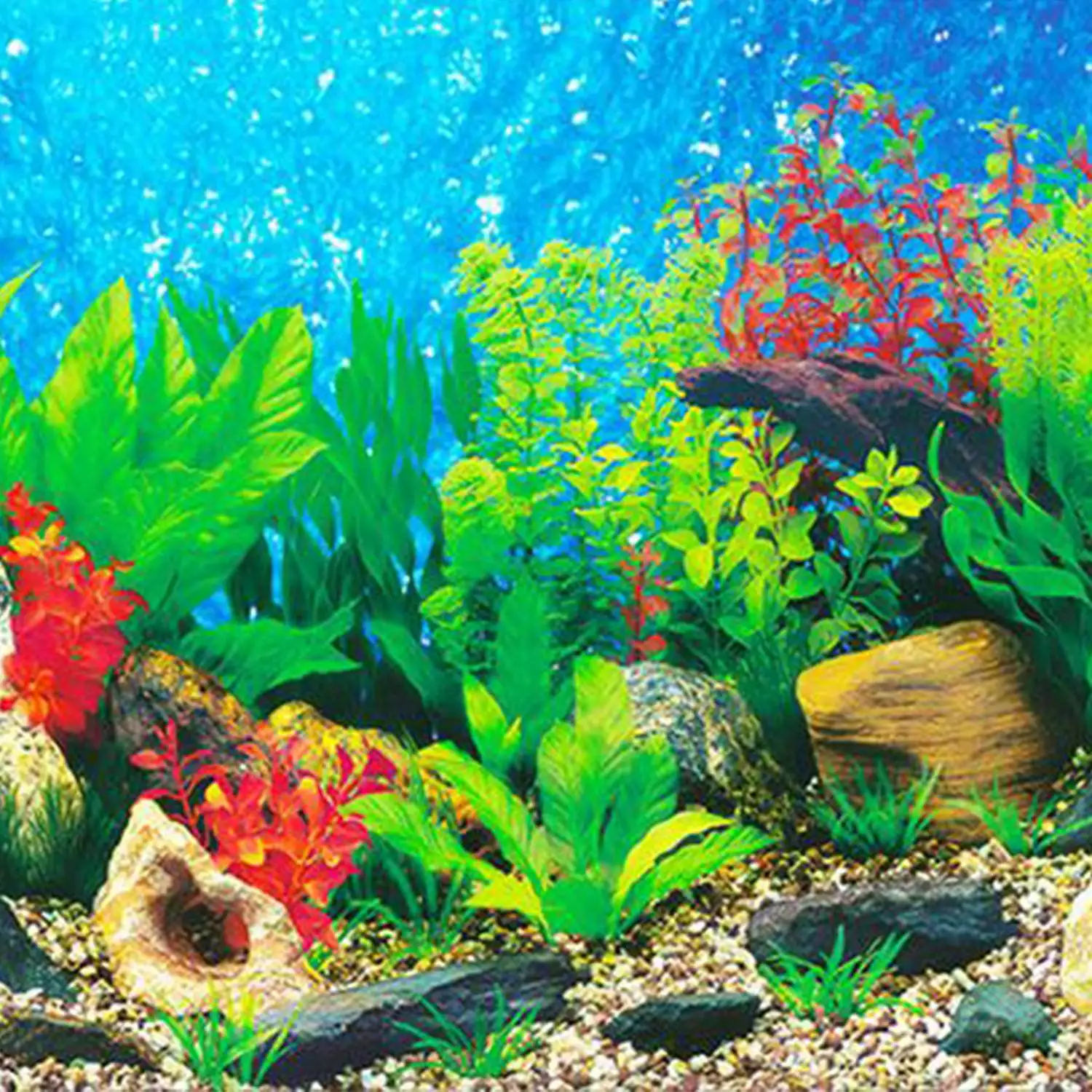 1 practical aquarium background paper hd picture 3d three aquarium background hd