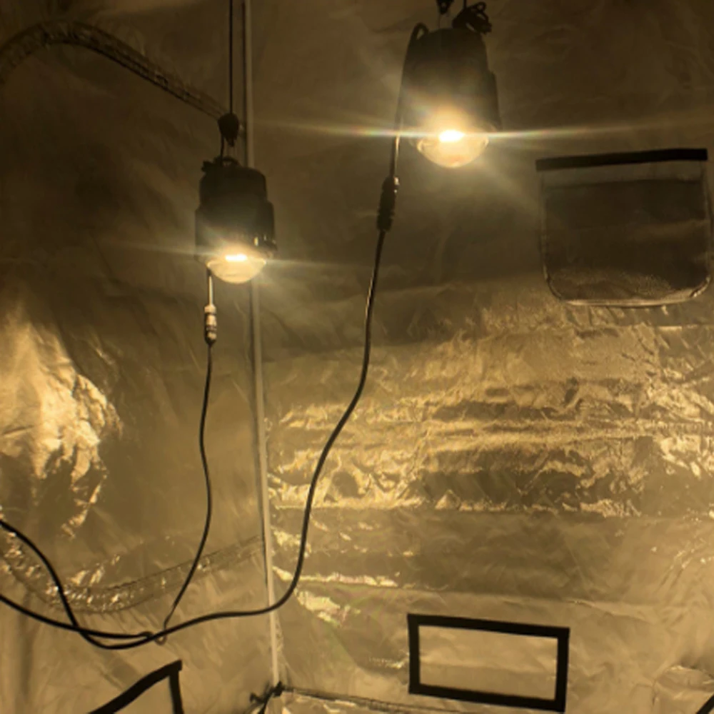Полный спектр Led Grow Lights Cree CXB 3590 3500K Гидропоника завод лампа контактный радиатор с