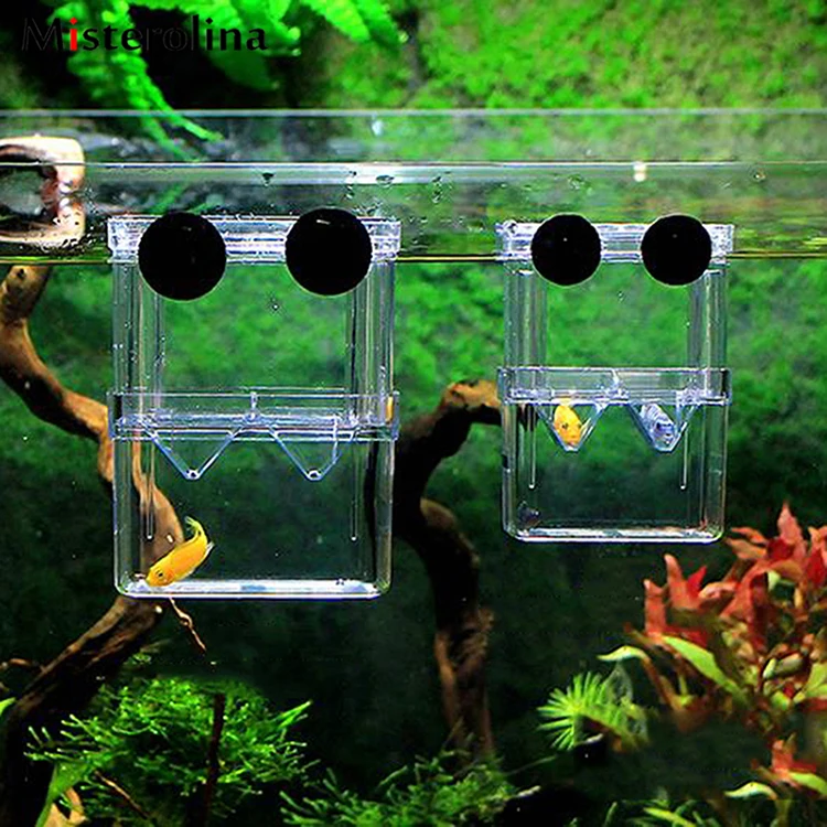 

Acrylic Fish Breeding Isolation Box Fish Tank Aquarium Breeder Box Double Guppies Hatching Incubator Aquarium Pet Supplies S/L