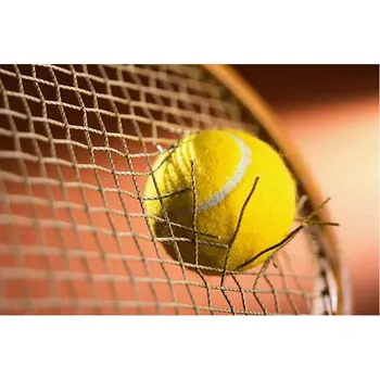 

5D diy diamond embroidery Tennis full square diamond Painting cross stitch picture rhinestones Needlework mosaic home decor
