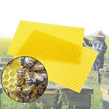 

30pcs Deep House Nest Honey Nest Foundation Bee Special Tablet Nest Base Deep House Nest Honey Nest Base Beed Honeycomb