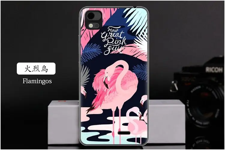  Flamingos