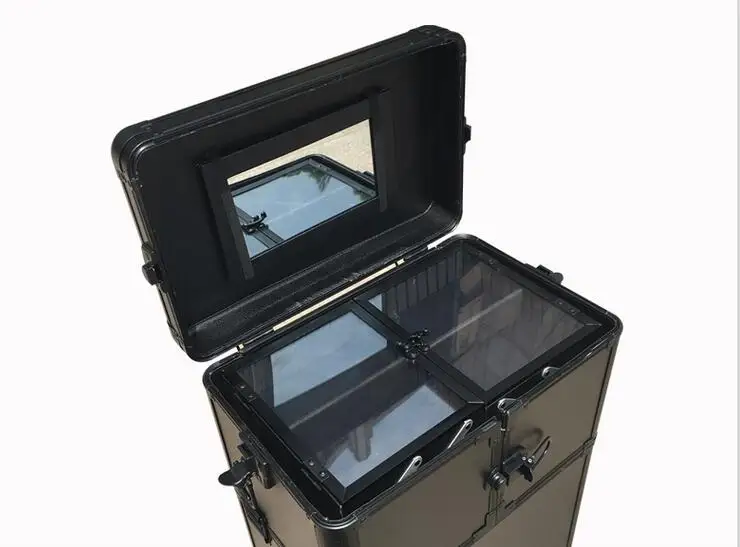 Case (3)