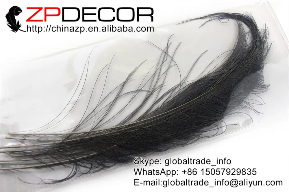 silver grey Peacock Swords Feather (8)