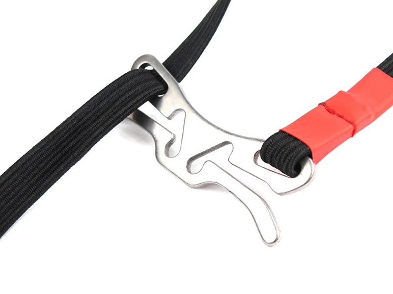 2986996100_224176411