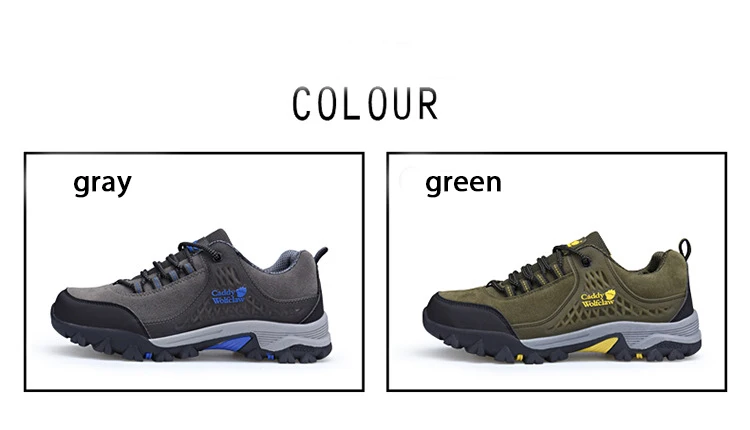 9102418665_200365450