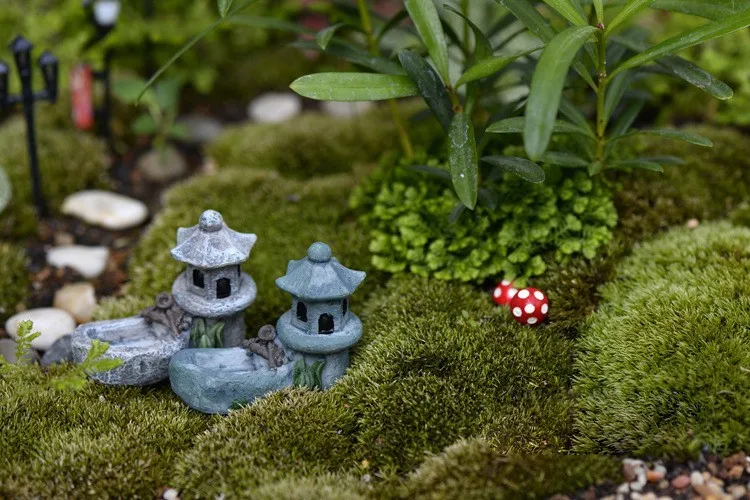 2135672535_394298364