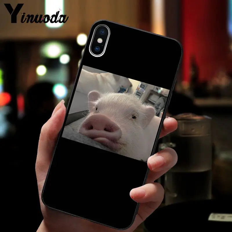 Cute Pig Print 