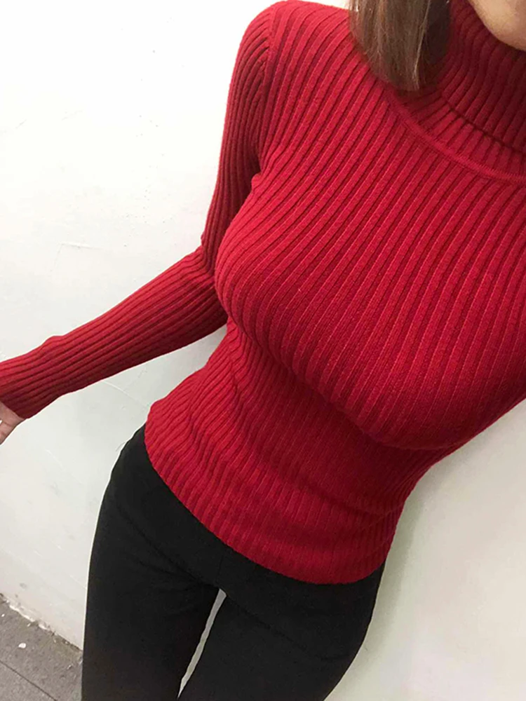 Autumn Winter Women Sweater High Elasticity Warm Knit Turtleneck Pullovers Jumpers Female Basic Bottom Colthing | Женская одежда