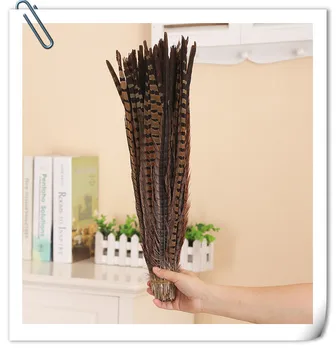 

Free Shipping 500pcs natural pheasant feathers Lady Amherst Ringneck pheasant tail feathers for crafts indian feather headdress