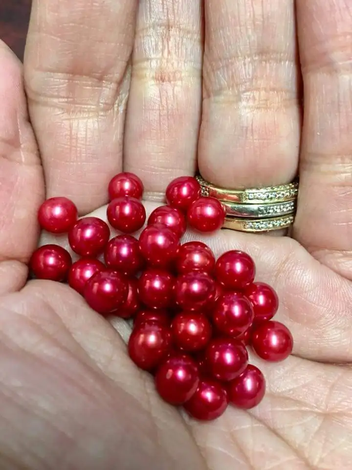 

Perfect Real Red Pearls 6-7MM Wish Pearl 10pcs Bulk Loose Round Red Pearls Christmas Reds DIY Jewelry Mounts Pearls FPR003