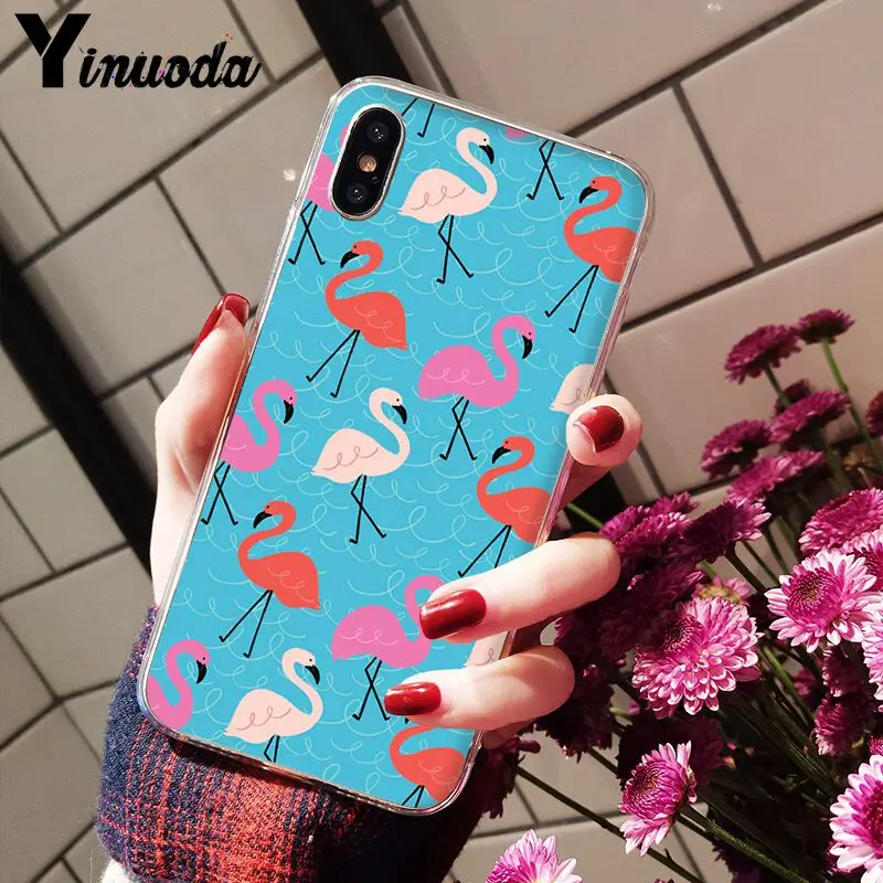 Flamingo Cute Animals Birds