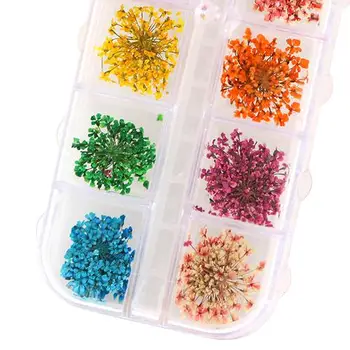 

Beautiful Creative DIY Kits 36Pcs 12 Colors Real Dried Flowers Cute DIY Nail Art Tips Stickers Manicure Decor Nail Art Supplies