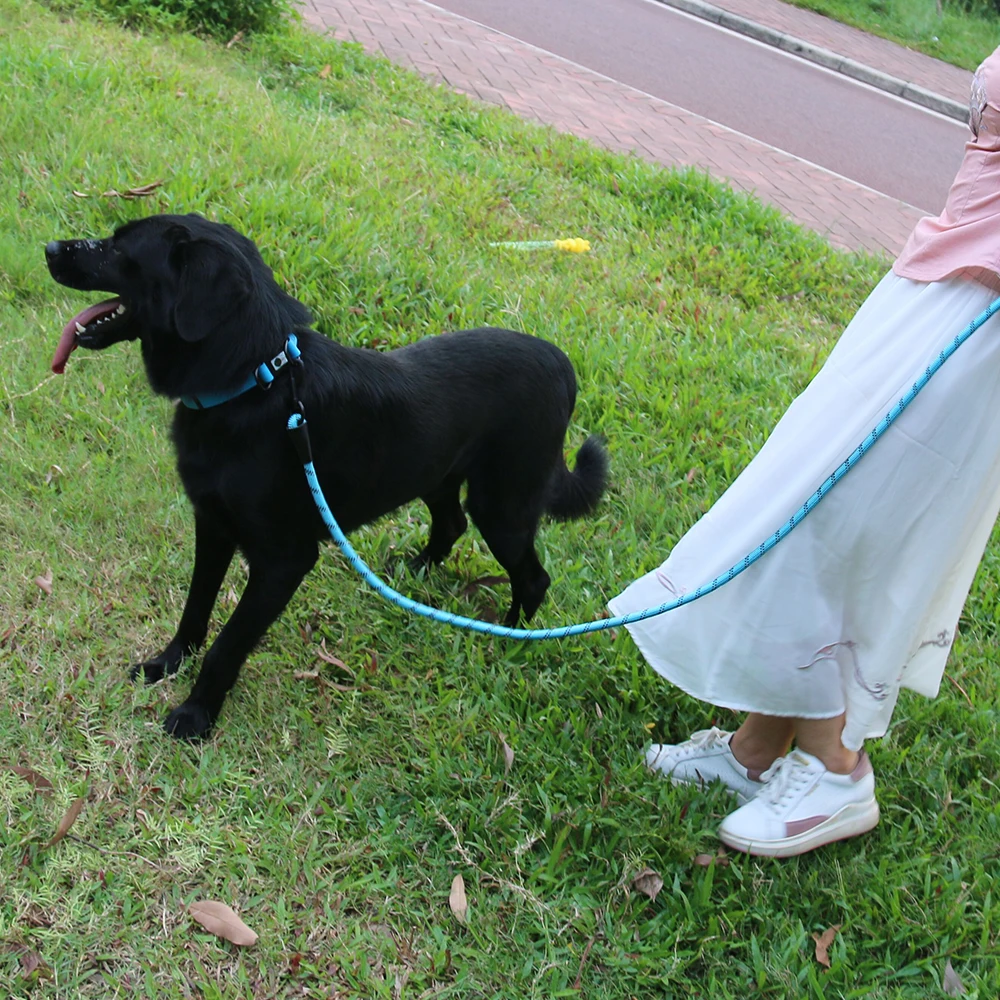 Dog Leash Harness Collar Reflective Nylon Lead Pet Dog Puppy Walking Running Leashes Training Rope Belt For Medium Large Dogs