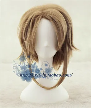 

Game Legend of Zelda Link Brown wig Comic-con Cosplay Wig Link Role Play Brown hair costumes