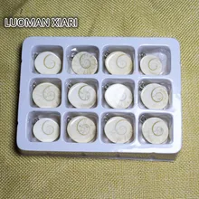 Мульти-стиль, 12 штук в штучной упаковке, неправильные ракушки, окаменелые подвески из природного камня, Подвески, подходят для DIY ожерелья для изготовления ювелирных изделий