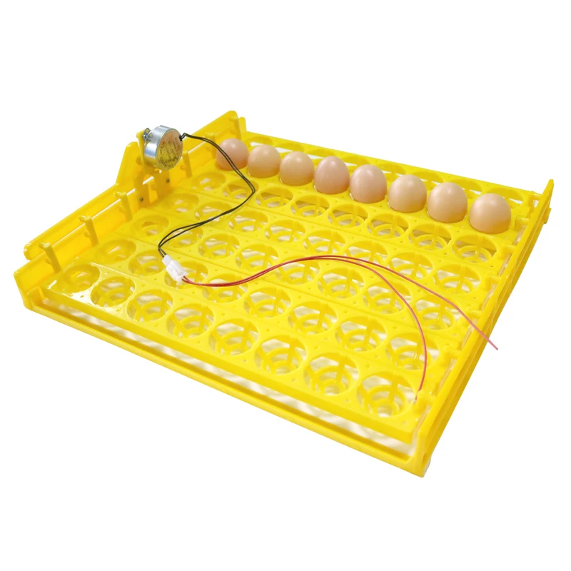 56 Eggs Incubator Chicken Duck And Other Poultry Automatic Incubator Poultry Eggs Poultry Incubation Equipment 56 Eggs Incubator Chicken Duck And Other Poultry Automatic Incubator Poultry Eggs Poultry Incubation Equipment