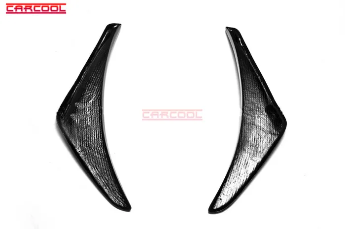 Honda Canard (3)