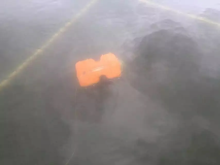 96E4BCA1-EB11-4F76-B807-FDCF29840B21