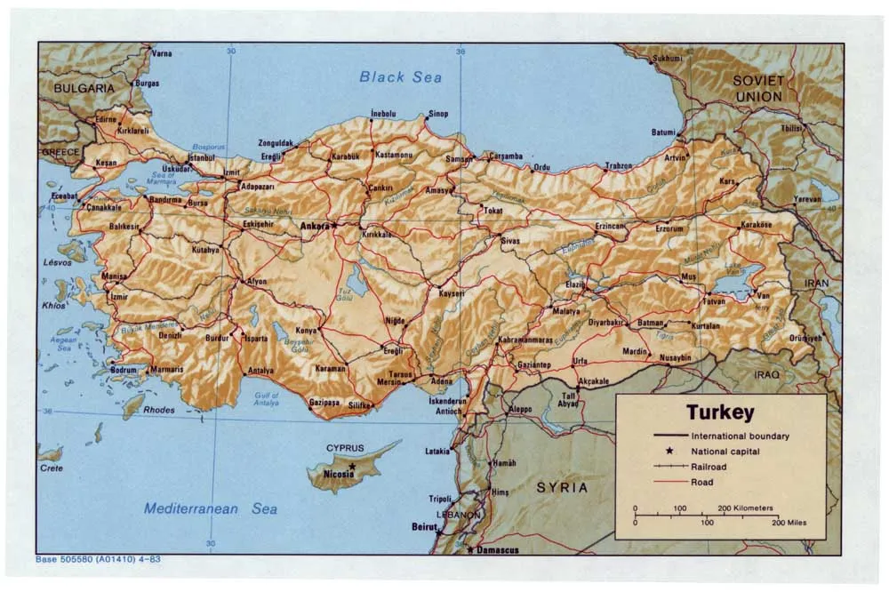 

Vintage RM-DT-430 Oil Painting print on Canvas Noot "Turkey map" Pictures Decorative Painting Wall Art No Frame wall sticker
