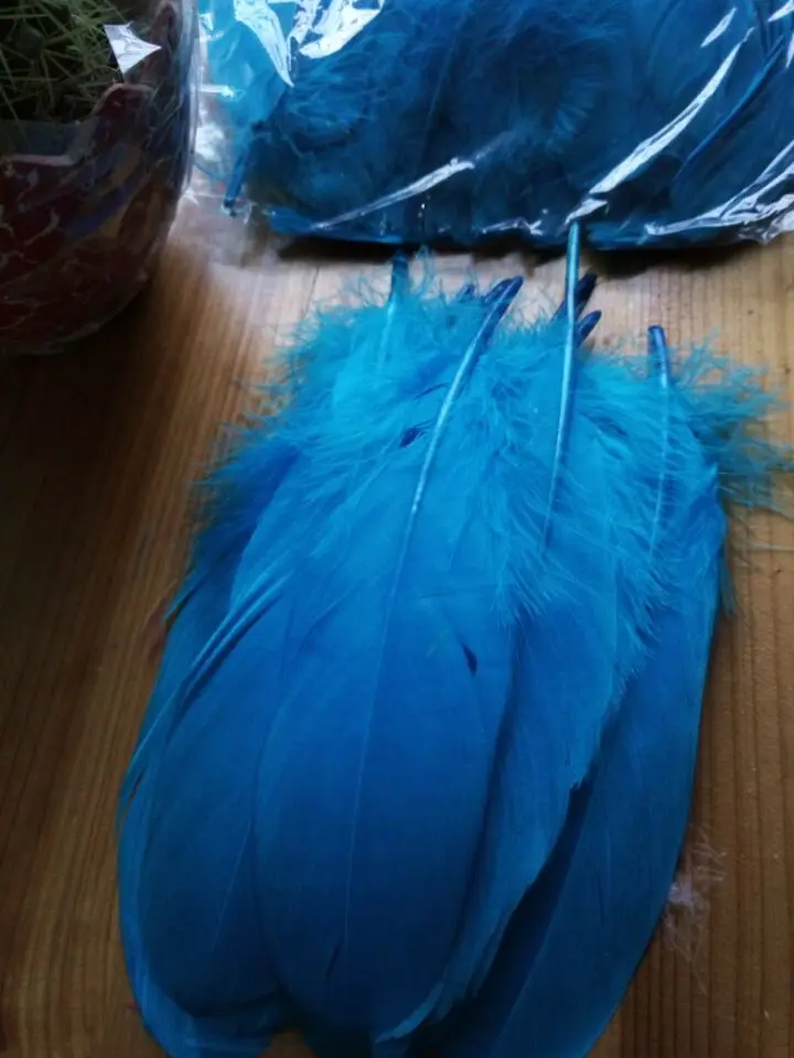 

Wholesale perfect 20pcs high quality natural sky blue Pheasant feathers 6-8inch/15-20cm Decorative diy