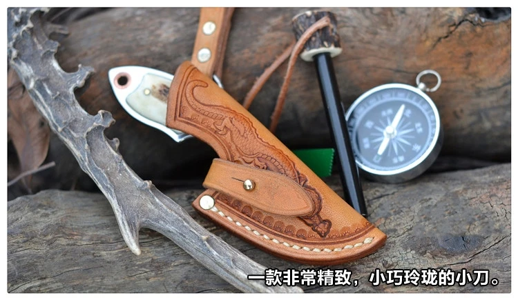 TB22Z3ptFXXXXXXXFXXXXXXXXXX_!!2631803018