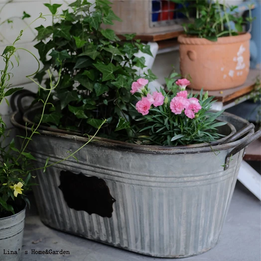 rose garden vintage retro gray large garden metal trough planter (3)