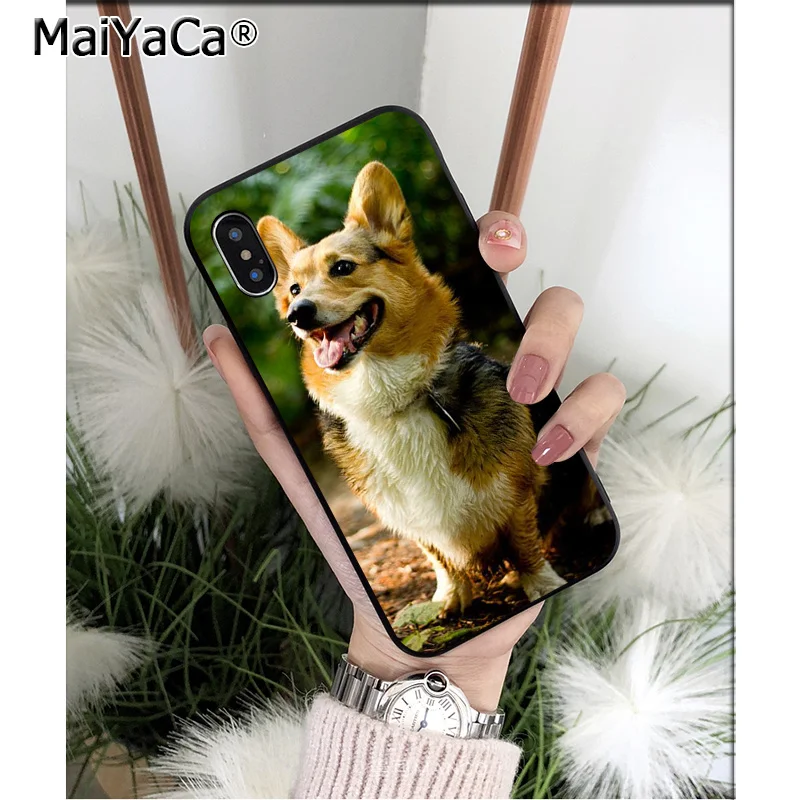 Anime Corgi dog