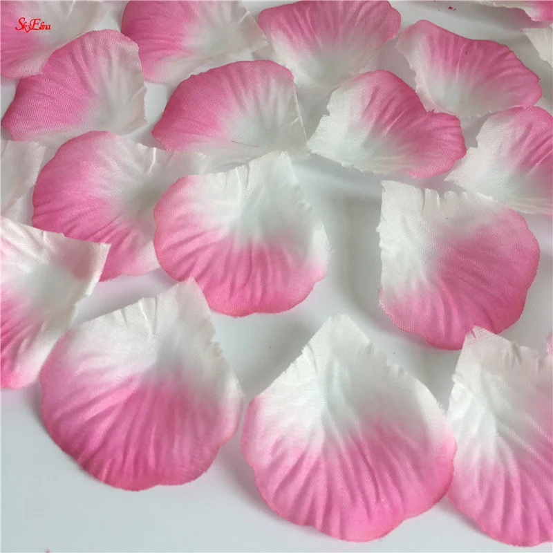 RuiChy 1000pcs Silk Artificial Rose Petals for Wedding Flowers Home Party Romantic Night Anniversary Valentines Day Pink